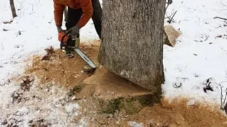 Reliable yard maintenance for beautiful yards across Gardiner, NY - Bradshaw Landscaping