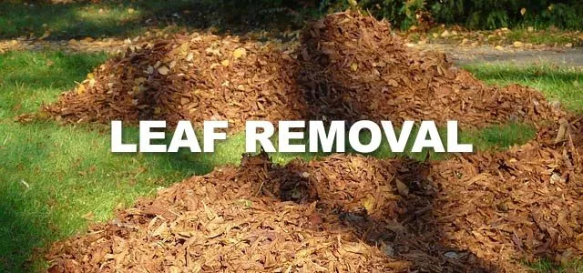 Affordable yard cleanup service in Columbus, GA - Bradshaw Lawn Services