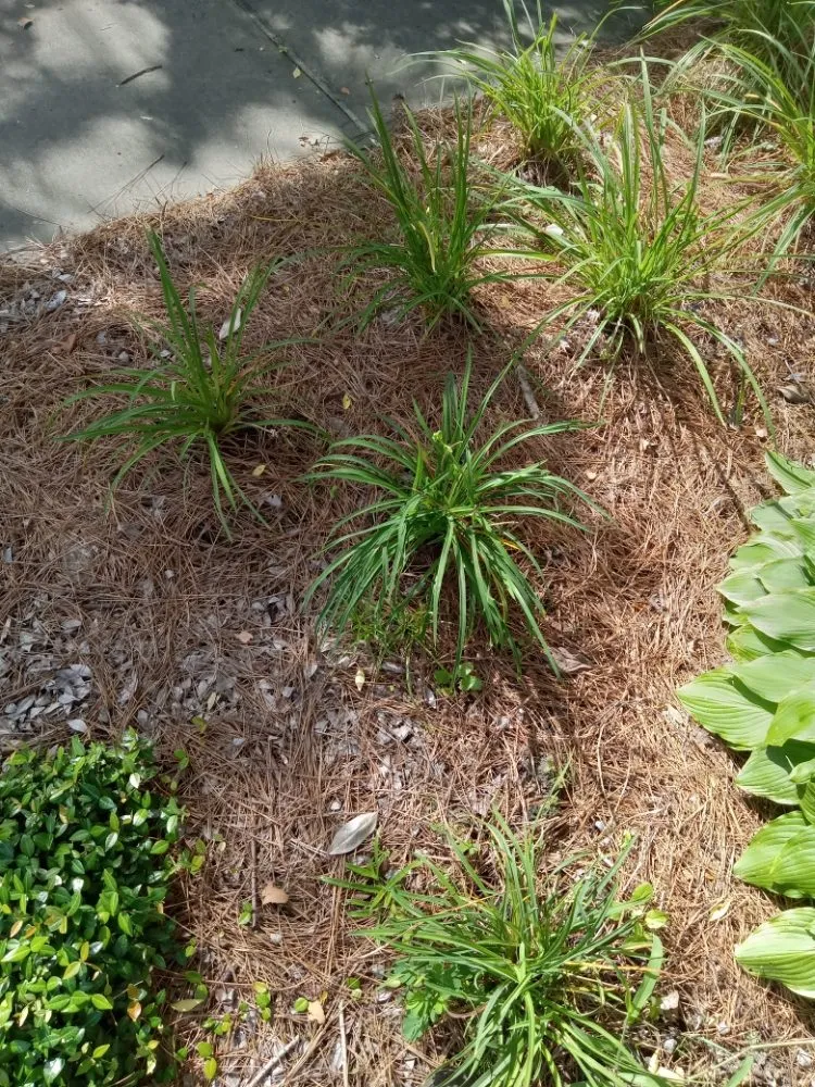 Reliable garden landscaping in Columbus, GA by Bradshaw Lawn Services