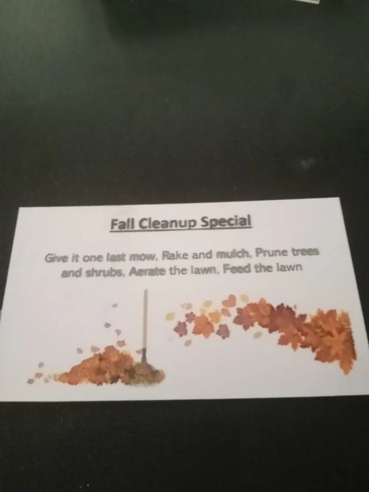 Expert yard maintenance in Columbus, GA - Bradshaw Lawn Services