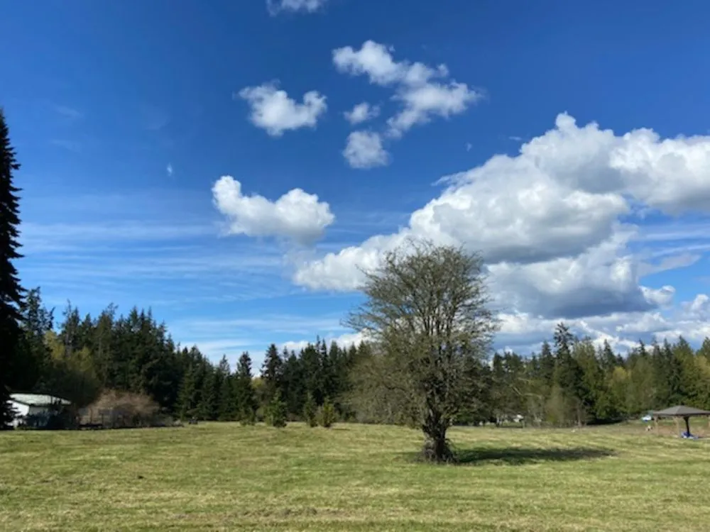 Expert landscape installation experts serving Snohomish, WA - Bradshaw Tractor Services