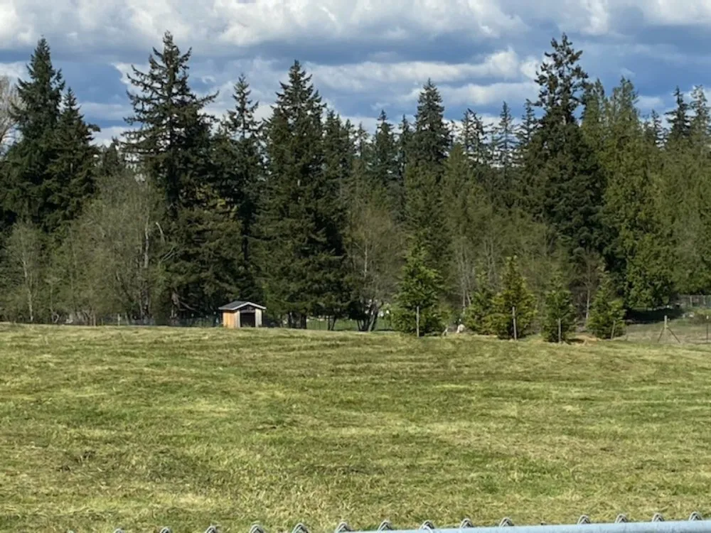 Top-rated lawn care service in Snohomish, WA - Bradshaw Tractor Services