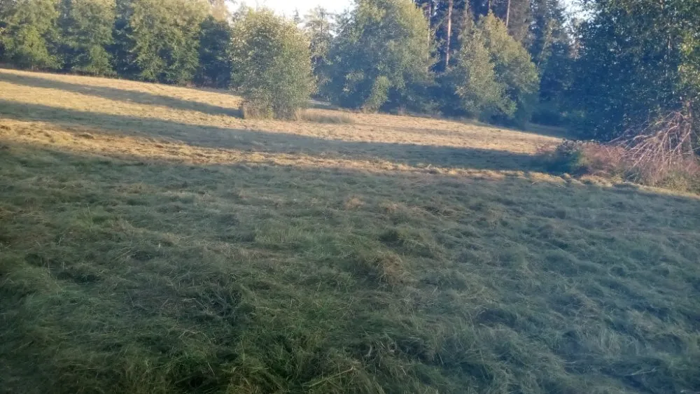 Professional outdoor landscaping in Snohomish, WA by Bradshaw Tractor Services