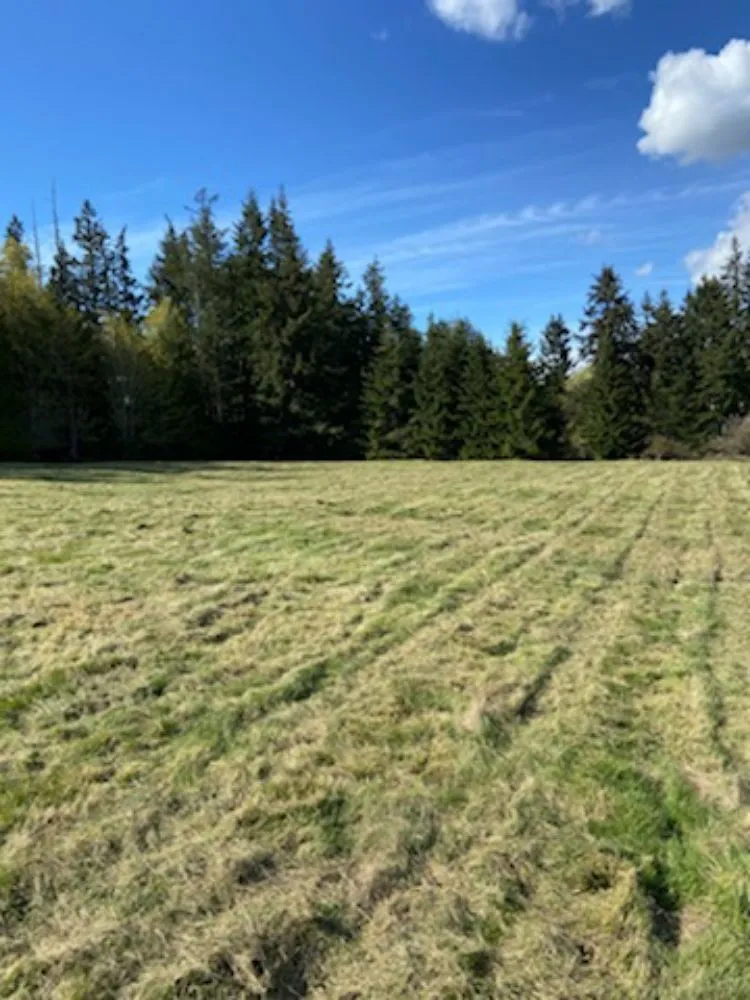 Expert residential landscaping in Snohomish, WA - Bradshaw Tractor Services