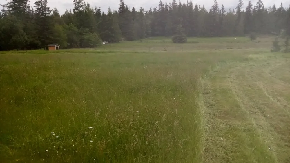 Top-rated yard maintenance for beautiful yards across Snohomish, WA - Bradshaw Tractor Services