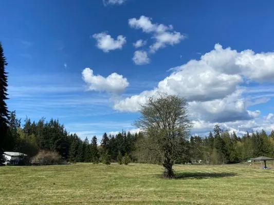 Bradshaw Tractor Services Logo