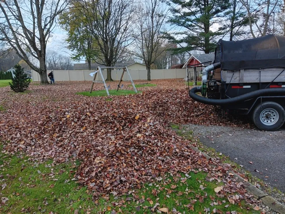 Expert yard cleanup service in Salem, OH - Bradway Lawn Care