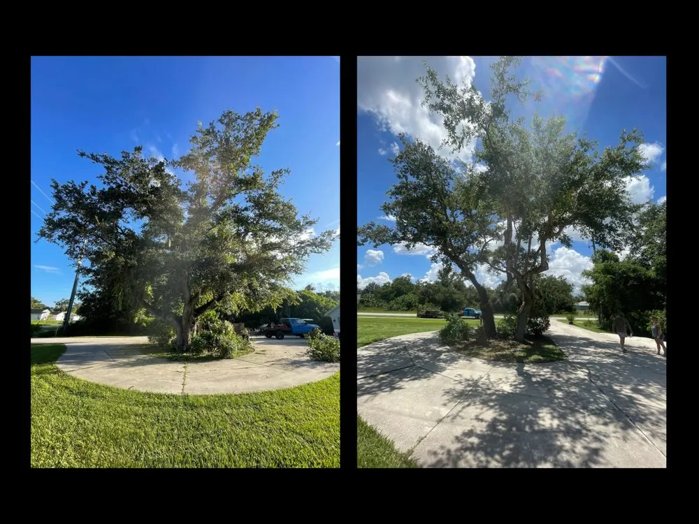Custom landscaping services experts serving North Port, FL - Brady Branch Tree Service