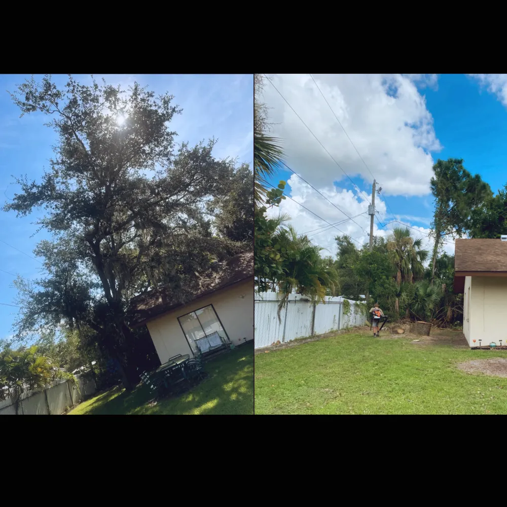 Trusted landscape design for year-round maintenance across North Port, FL - Brady Branch Tree Service