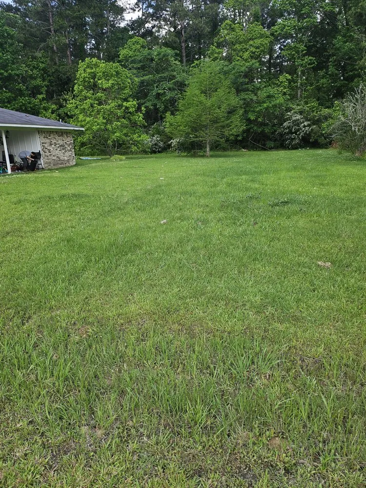 Expert lawn mowing service near you across Kinder, LA - Brady Bunch Lawncare