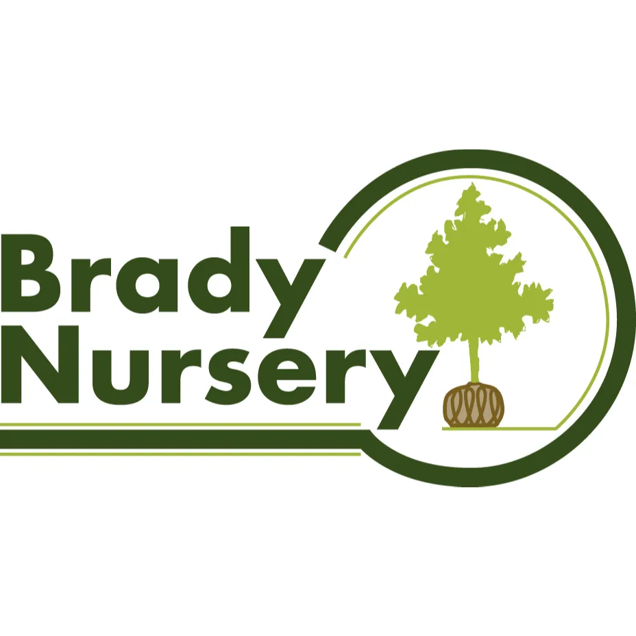 Local yard maintenance in Wichita, KS - Brady Nursery