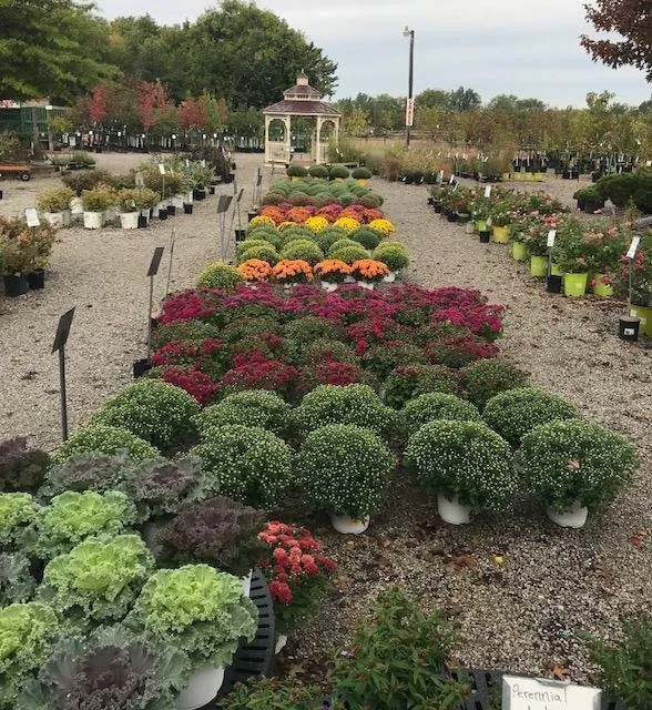 Top-rated lawn care service in Wichita, KS - Brady Nursery