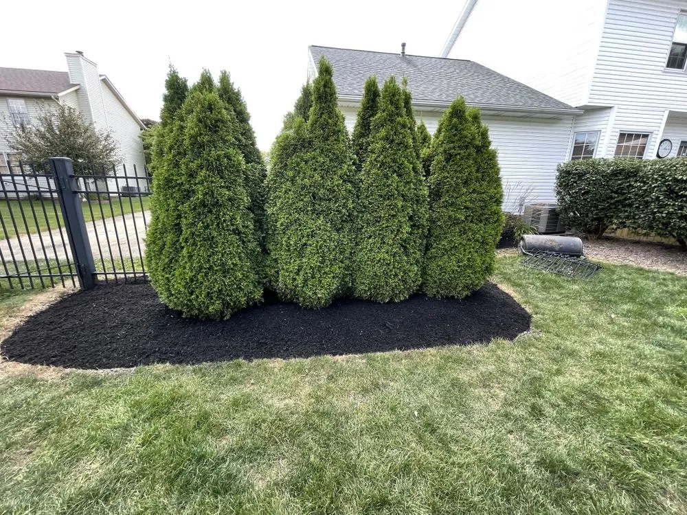 Affordable outdoor landscaping for residential properties across Canton, OH - Bradys Landscaping