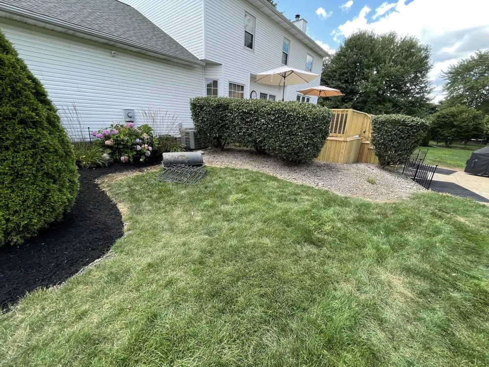 Local yard cleanup service in Canton, OH by Bradys Landscaping