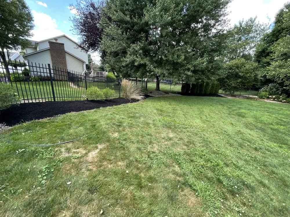 Professional lawn mowing service in Canton, OH by Bradys Landscaping