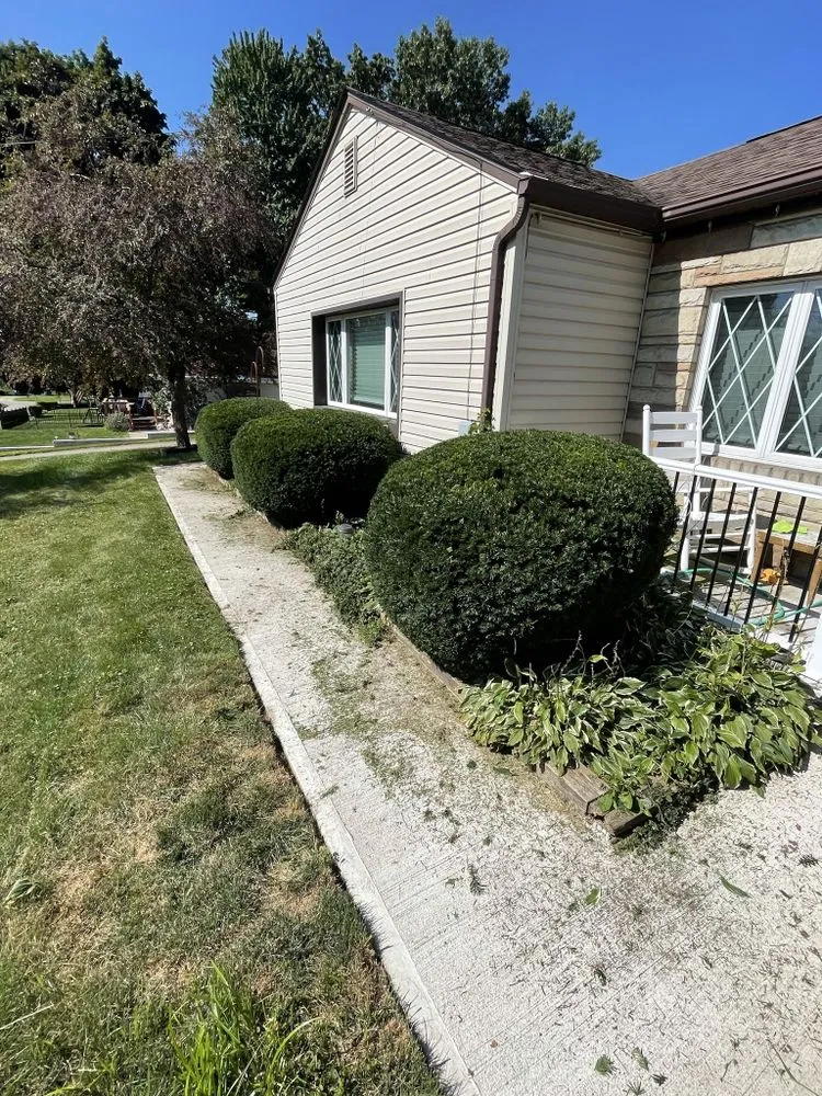 Expert landscaping services in Canton, OH - Bradys Landscaping