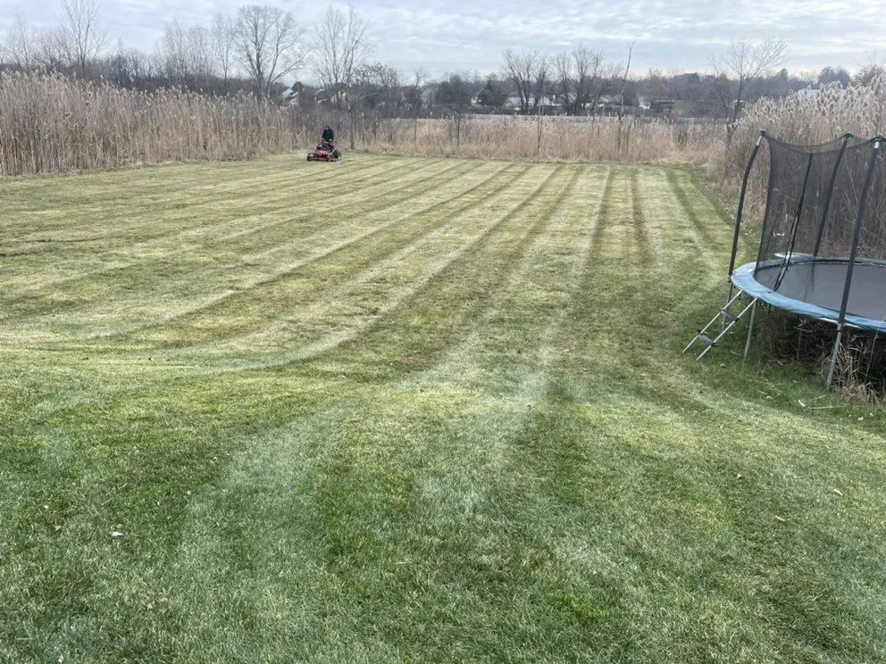 Trusted outdoor landscaping for beautiful yards in Canton, OH by Bradys Landscaping