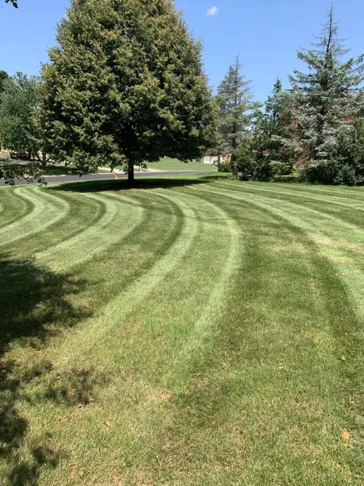 Expert landscape installation for residential properties in Canton, OH by Bradys Landscaping