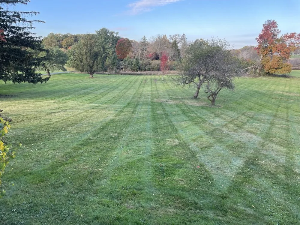 Local yard maintenance for year-round maintenance across Canton, OH - Bradys Landscaping