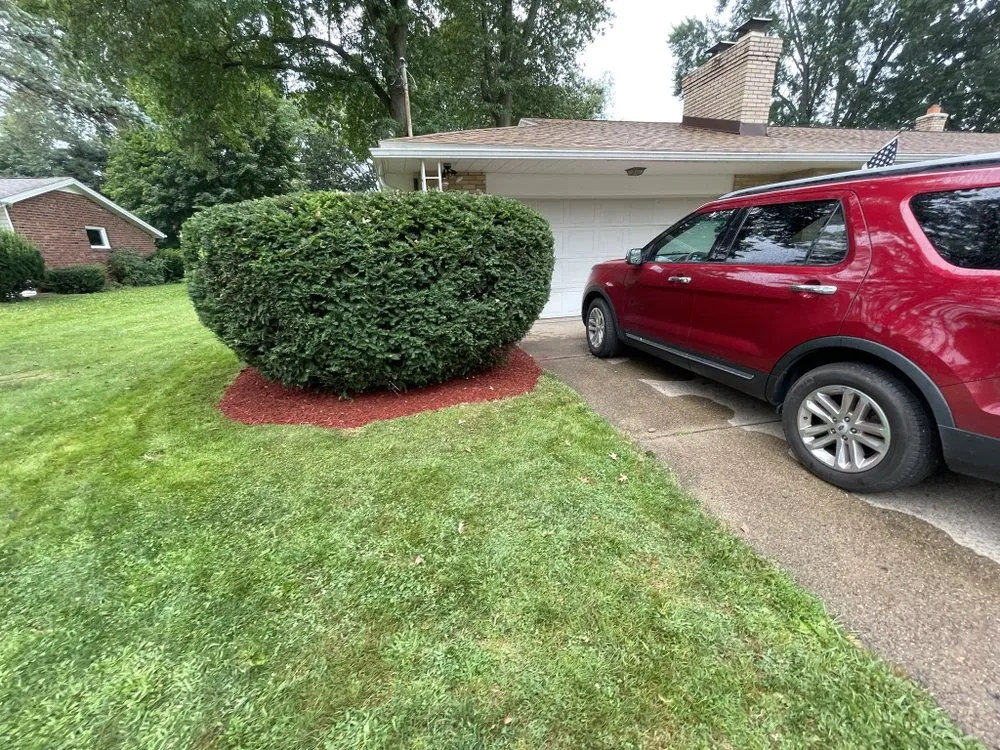 Reliable landscape installation for year-round maintenance in Canton, OH by Bradys Landscaping