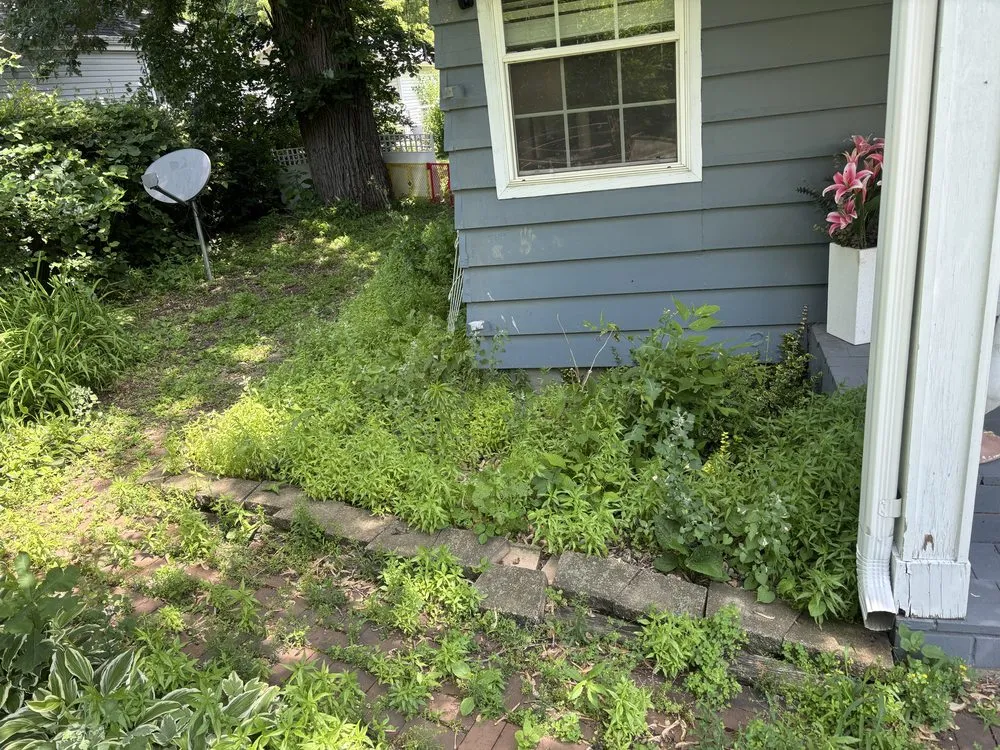 Top-rated lawn mowing service for residential properties in Marseilles, IL by Brady’s Lawn Service