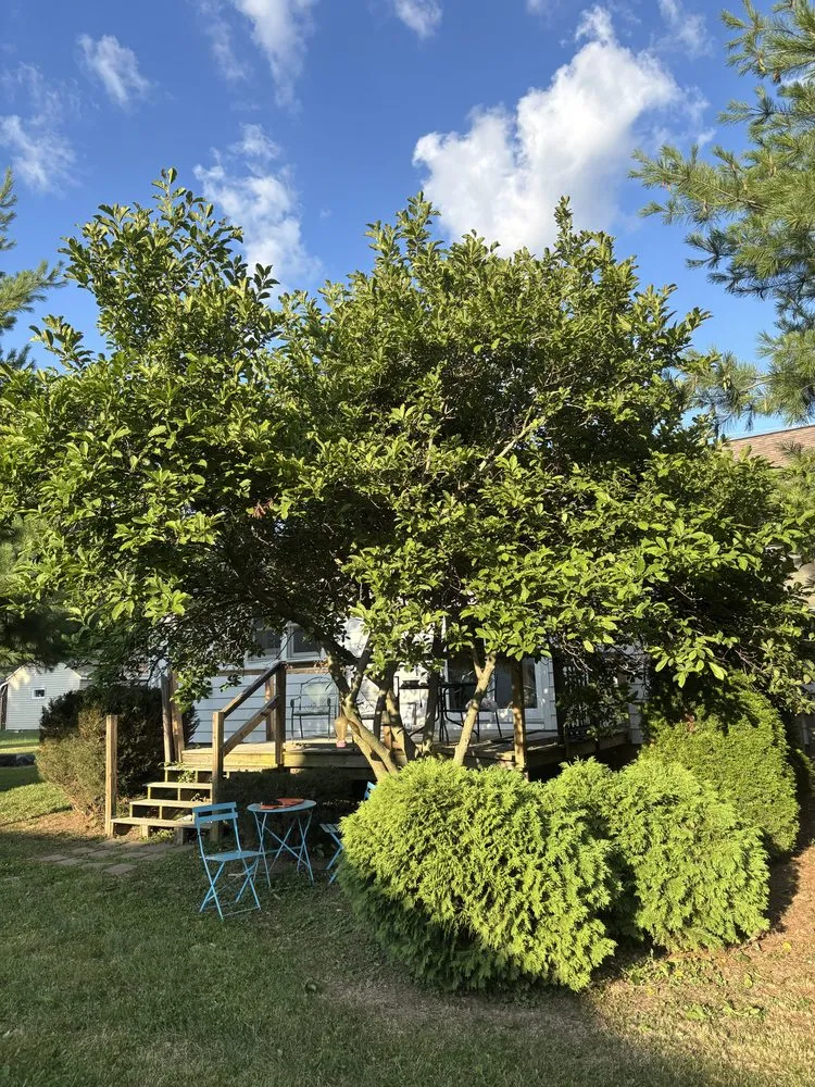 Affordable lawn care service in Marseilles, IL - Brady’s Lawn Service