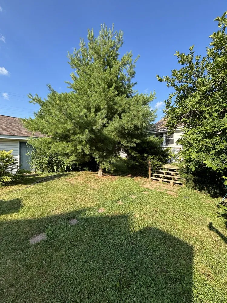 Affordable landscape installation experts serving Marseilles, IL - Brady’s Lawn Service