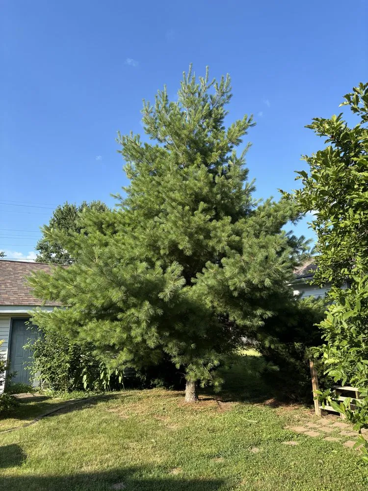 Affordable residential landscaping in Marseilles, IL - Brady’s Lawn Service