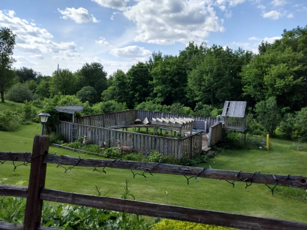 Custom yard maintenance in La Valle, WI - Braeden's Lawn Care