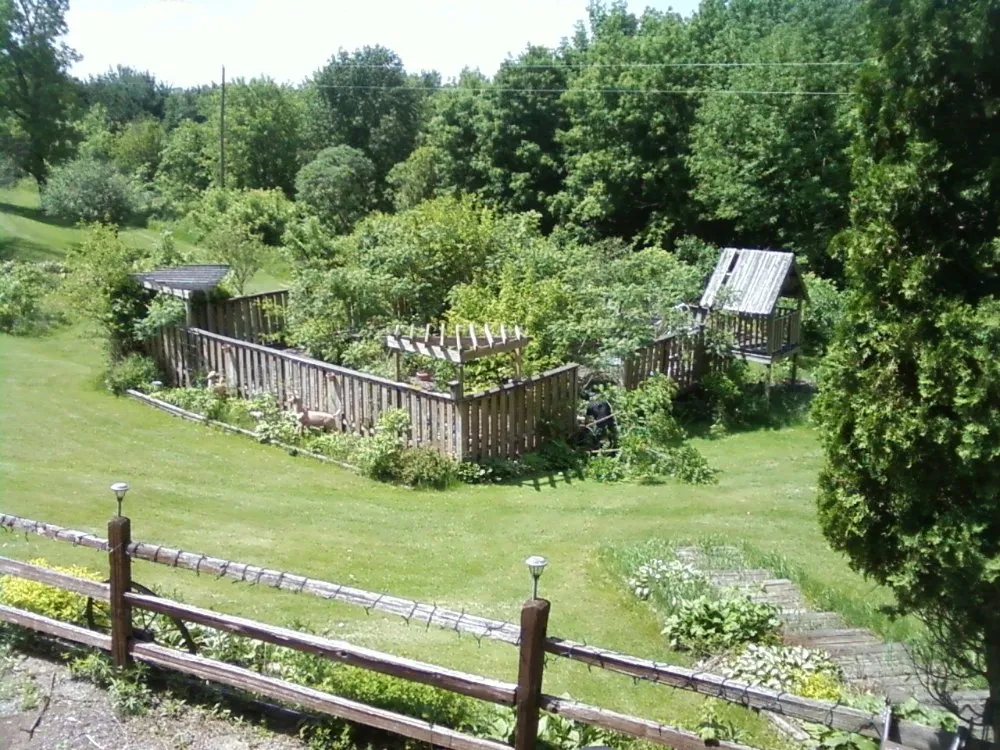 Trusted yard maintenance experts serving La Valle, WI - Braeden's Lawn Care