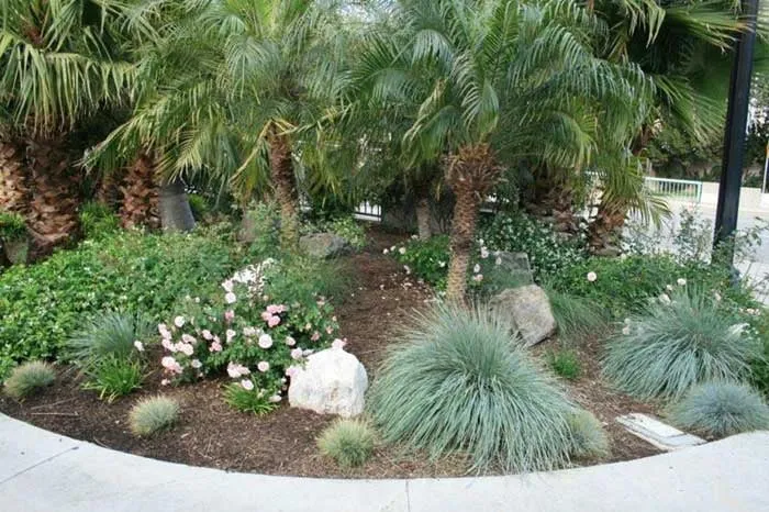 Custom lawn mowing service experts serving Oak Park, CA - Bragar Landscaping