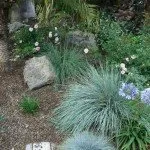 Reliable landscape design in Oak Park, CA - Bragar Landscaping