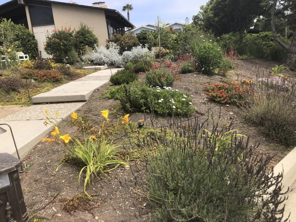 Reliable landscaping services experts serving Oak Park, CA - Bragar Landscaping