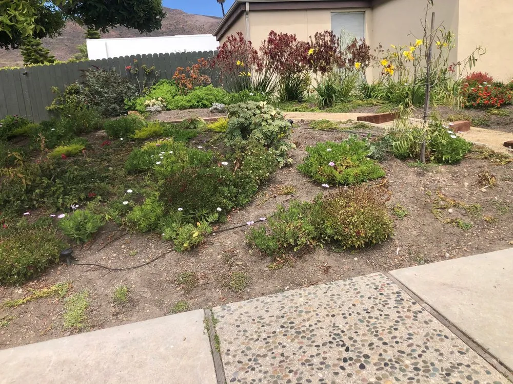Expert outdoor landscaping in Oak Park, CA by Bragar Landscaping