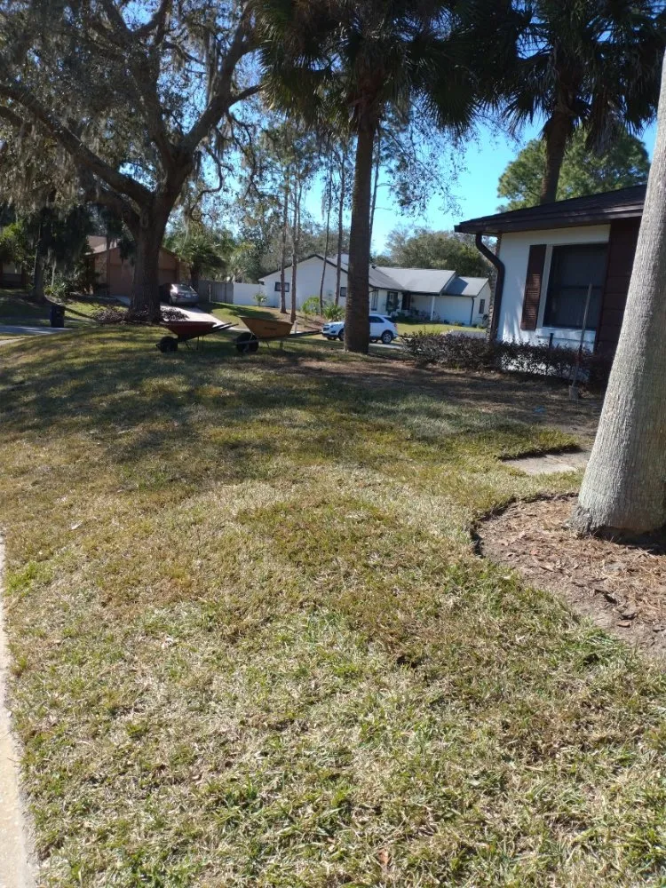 Professional landscaping services experts serving Sanford, FL - Bragg About It Home Repairs