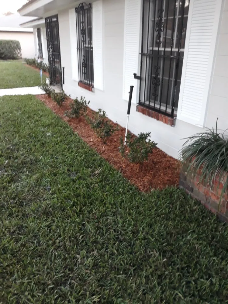 Professional yard cleanup service near you in Sanford, FL by Bragg About It Home Repairs