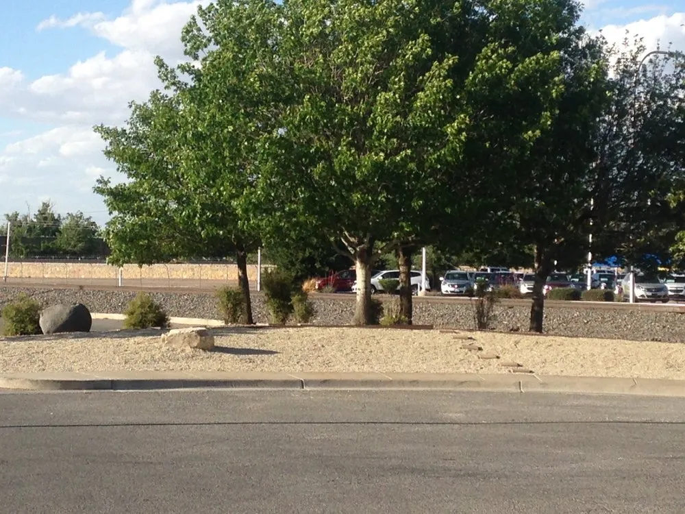 Affordable yard maintenance for homes across Las Cruces, NM - Brainard's Greenscapes