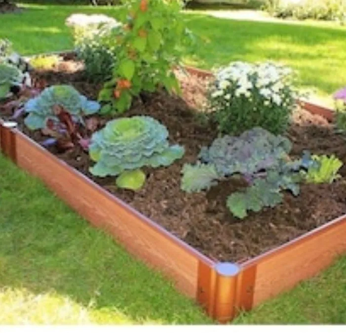 Trusted outdoor landscaping experts serving Meridian, MS - Braindead