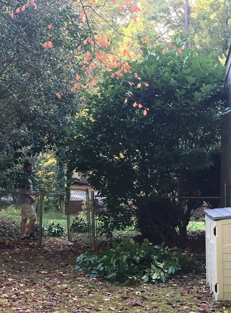 Reliable landscaping services experts serving Henrico, VA - Brains and Brawn Home Services