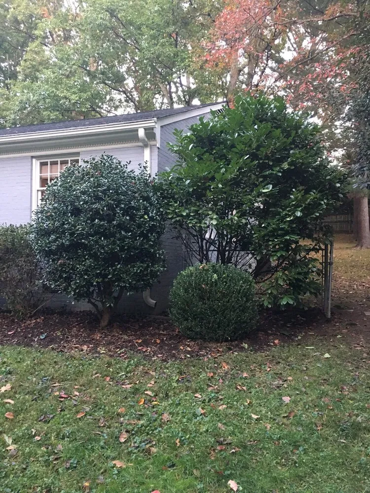 Affordable lawn care service in Henrico, VA - Brains and Brawn Home Services