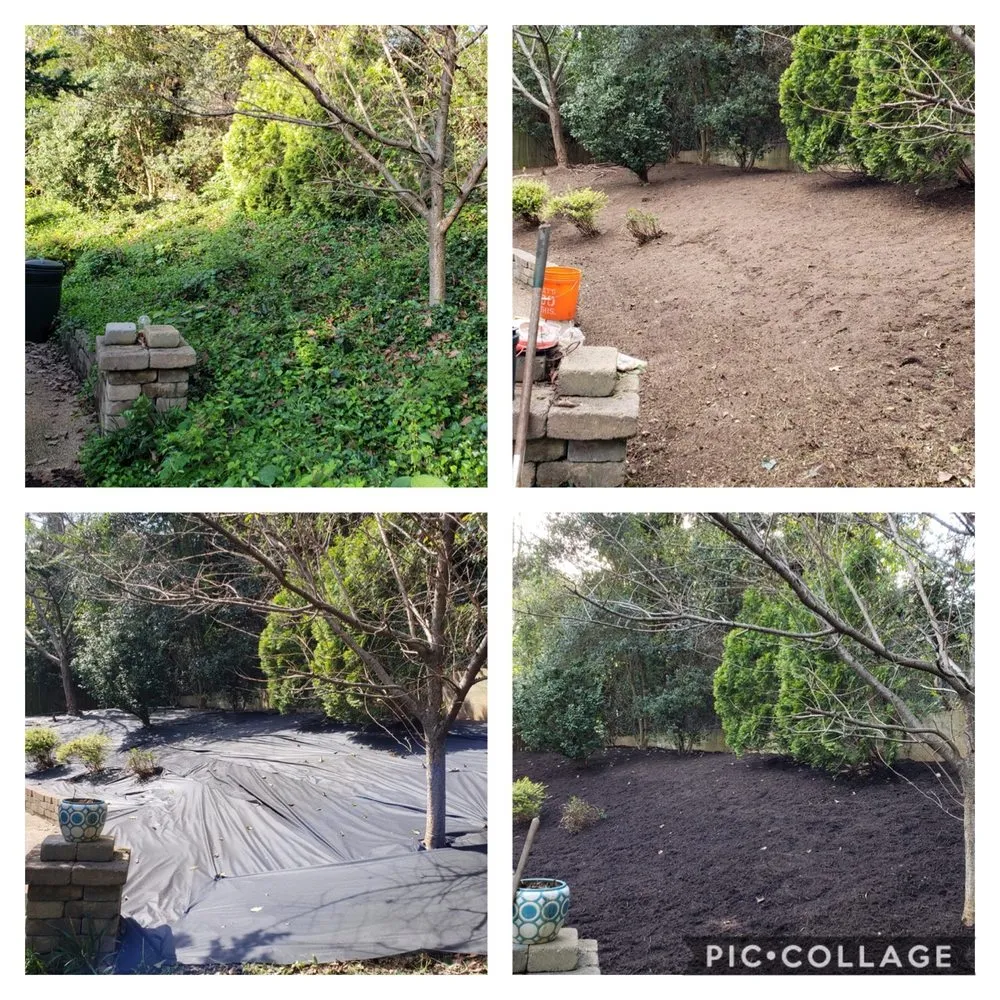 Top-rated residential landscaping in Henrico, VA by Brains and Brawn Home Services