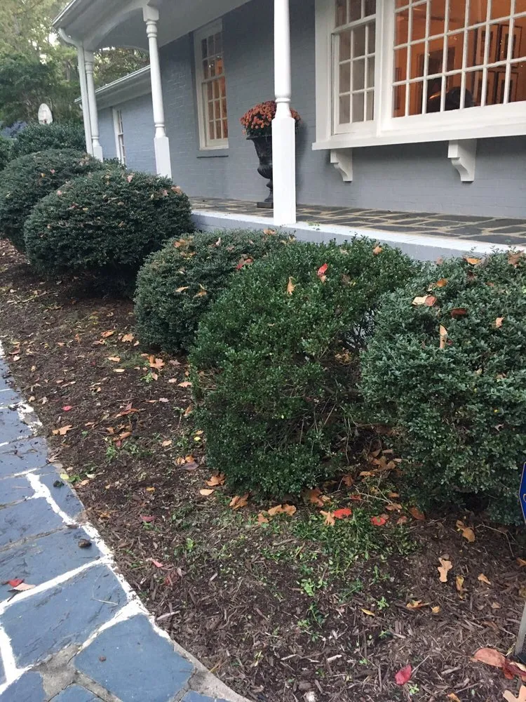 Local lawn mowing service with custom design in Henrico, VA by Brains and Brawn Home Services