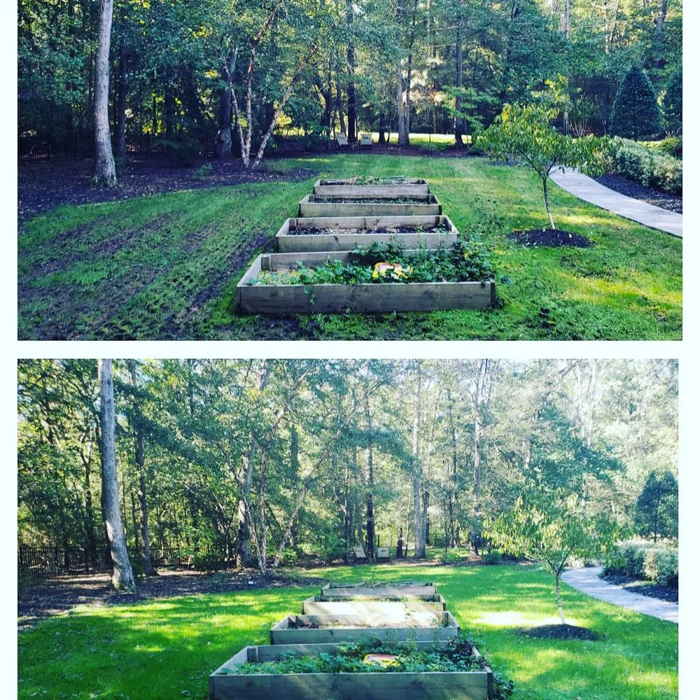 Trusted landscaping services in Henrico, VA - Brains and Brawn Home Services