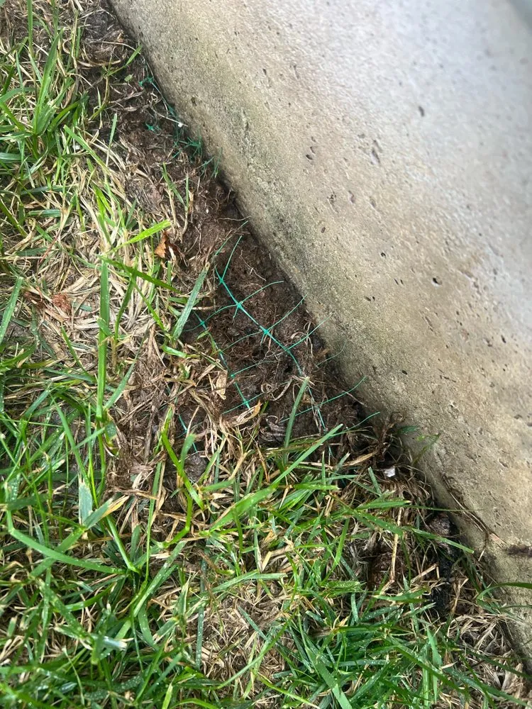 Local yard cleanup service experts serving Saint Louis, MO - Brake Landscaping