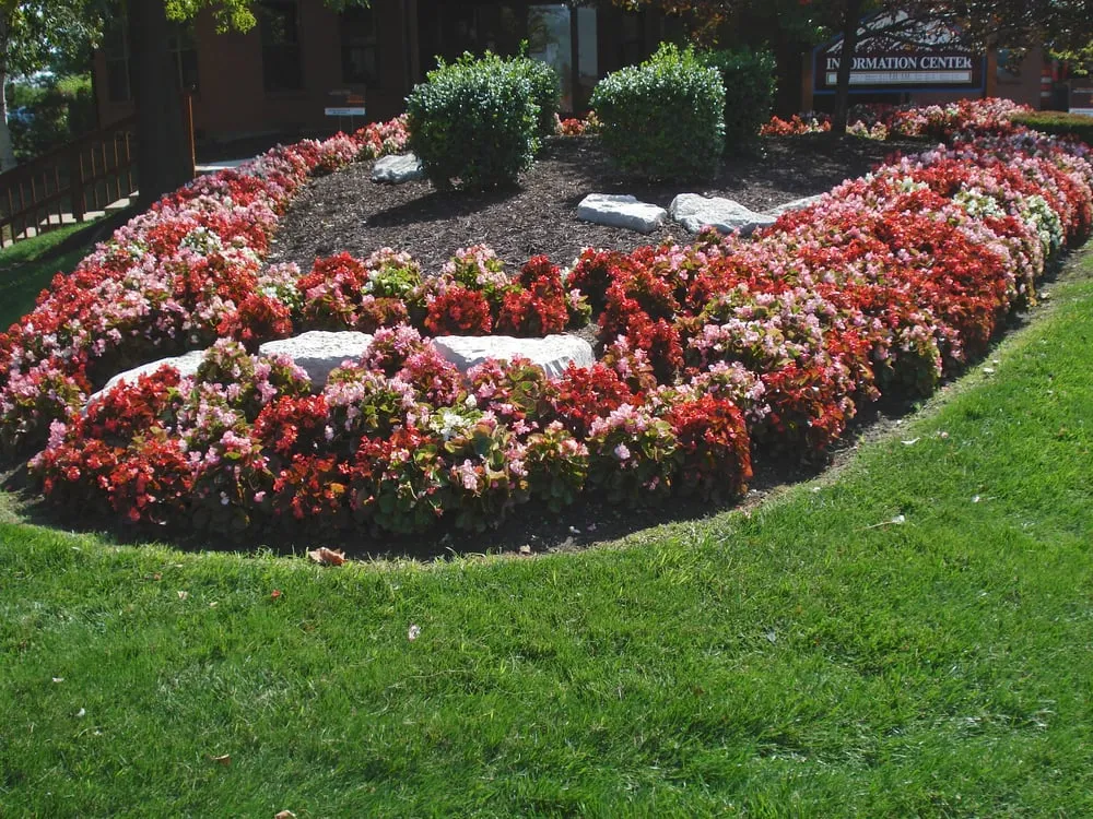 Affordable landscaping services experts serving Saint Louis, MO - Brake Landscaping