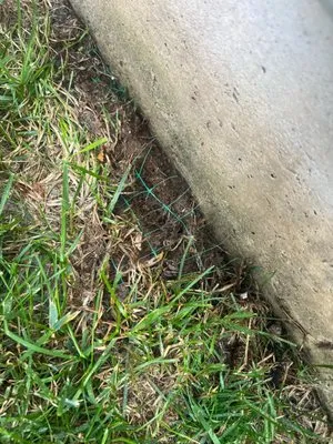 Brake Landscaping Logo