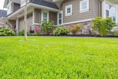 Trusted residential landscaping in Saint Albans, WV - Braley Lawn Care