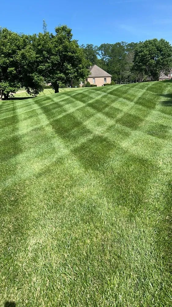 Local yard maintenance experts serving Saint Joseph, MO - Braman Lawn Care