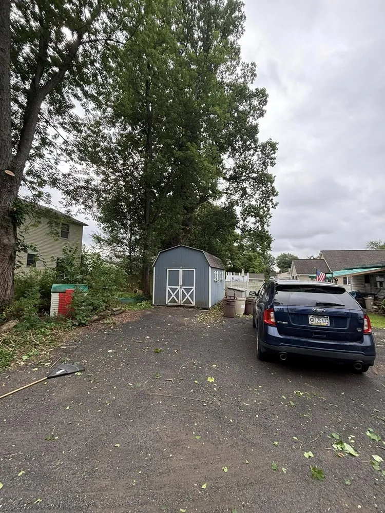 Reliable lawn mowing service experts serving Langhorne, PA - Brambani’s Land Services