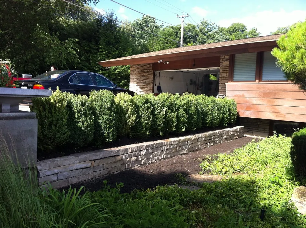 Professional yard cleanup service in Des Plaines, IL by Brancato Landscaping